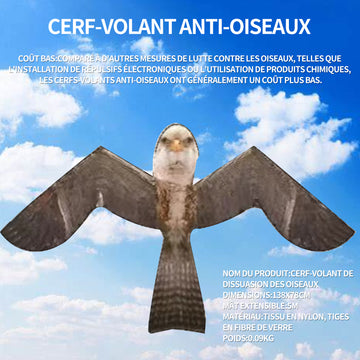 Cerf-volant anti-oiseaux 5m cerf-volant anti-oiseaux de jardinage cerf volant aigle effaroucheur cerf volant aigle effaroucheur